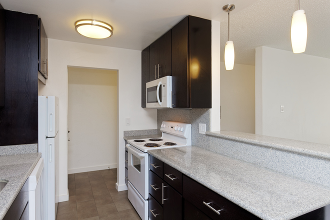 Kitchen - Apartments Units Available in Adam's Point!