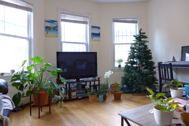 bostonrealtyonline.com - Mission Hill Three Bedroom in Prime Location with Laundry Apartments