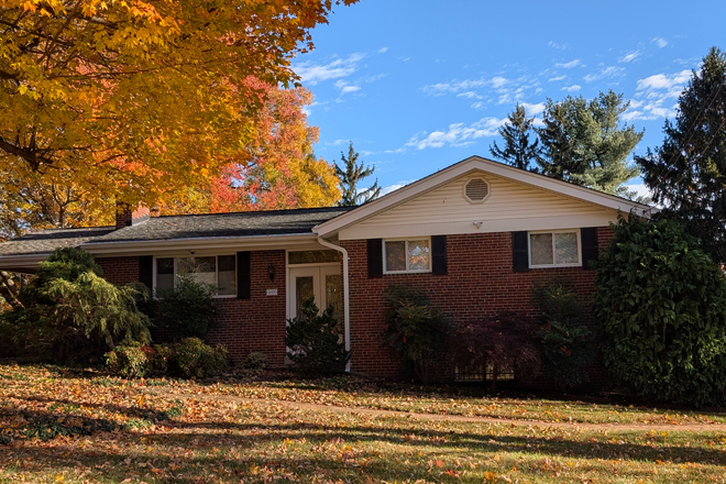 Exterior of home - New 1 bedroom private apartment home, light-filled, fully furnished, full kitchen, 20 min to UMD
