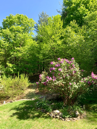 Side yard - Luxury country home in Ashfield