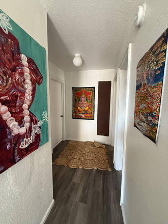 hallway! - 18th & Arapahoe Apt 2E