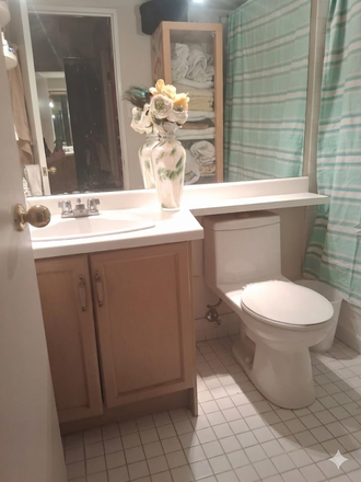 Private Bathroom - Private room for rent in an artist design shared condo unit at Scadding Avenue