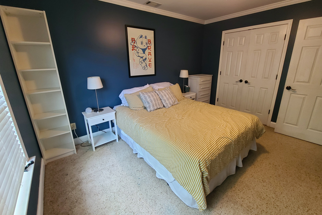 Queen bed, bookshelf, nightstand, lamps, dresser - FURNISHED BR in house near GA State/Emory/MARTA, utilities/wifi included
