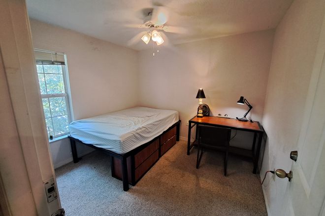 Room View From the Door - Urgent - Bedroom in 4x2 Unit, Across the Street from Campus Apartments