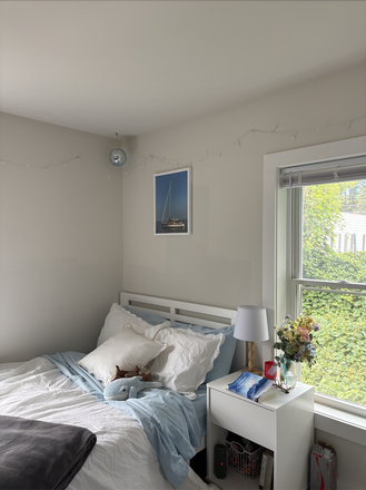 The bed! - Sublet Room Spring 2026! Apartments