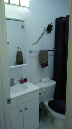Bathroom - Clean, Modern and Private 1 BR Apt for Rent