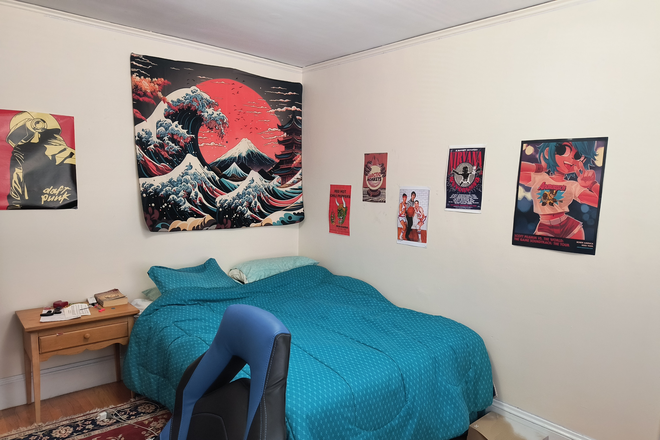bdrm 1 - SUNNY and SPACIOUS apartment near Boston College