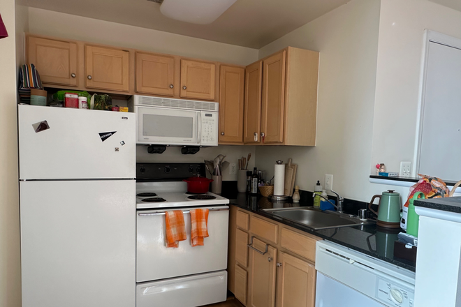 Kitchen - Cozy Studio in Mt. Vernon steps from Peabody and JHMI Shuttle Apartments