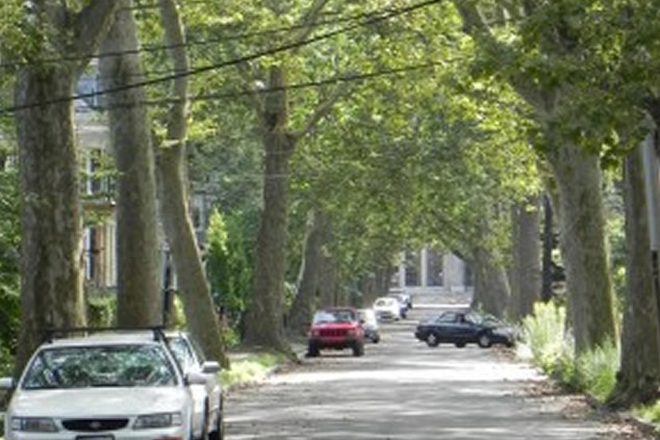 Tunnel of trees approaching our house. - Furnished Room in highly desirable Coolidge Corner, near Harvard LMA & BU