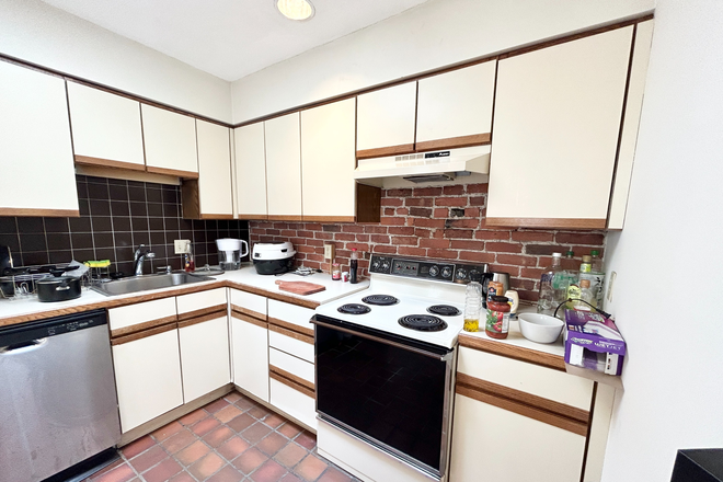Kitchen - Huge sunny 1 Bed