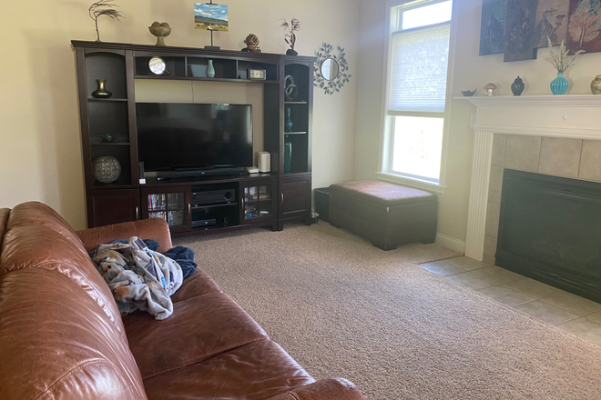 Living Room - Quiet neighborhood, with bus service to campus House