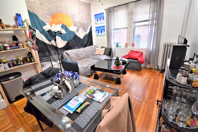 Living Room - 1 Bed 1 Bath on Symphony Rd - Available 9/1/26 Apartments