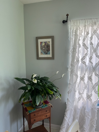 Kitchen - Furnished bedroom in sunny duplex in Harrisonburg -Close to everything! Duplex