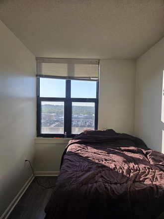 Bedroom. Not picture: furnished desk & drawers - Lovely Bedroom Sublease Jan 2027-July 2027 Apartments