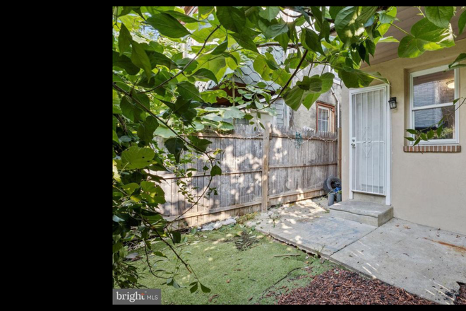 Yard - 3 BR 1.5 BA in Lovely quiet Temple U. area House