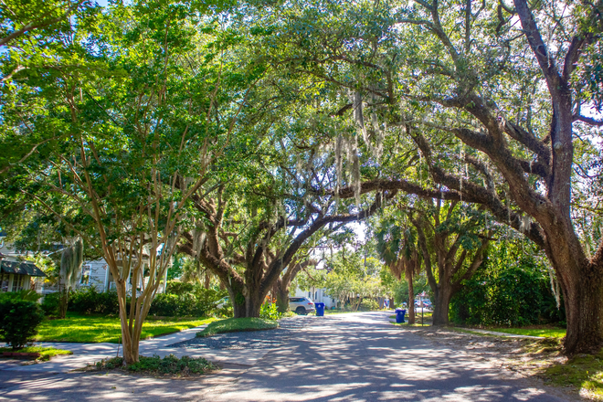 West Ashley Greenway - FURNISHED SHARED HOUSING - Less than 5 min to MUSC Campus House