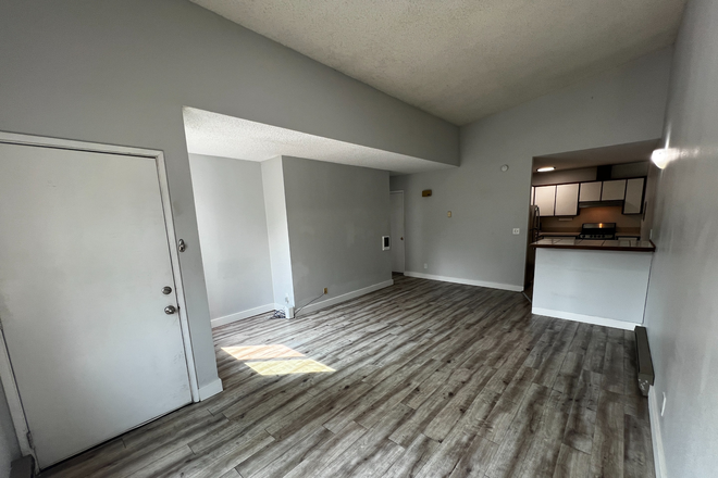 Your new living room? Spacious layout, lots of natural light, and room to make it your own. - 1414 Alder | 2 Minute Walk to UO Campus, Parking Included | $1,000 Cash Move-In Bonus Apartments