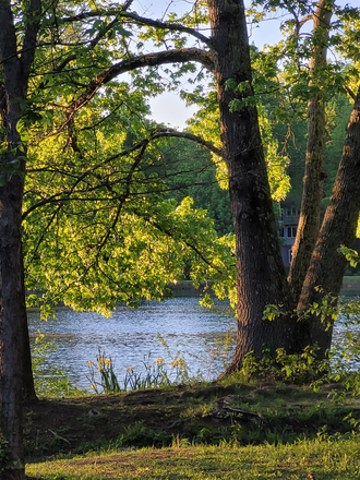 Lake nearby - Quiet Safe Detached Studio Washer/Dryer Utilities Wifi House