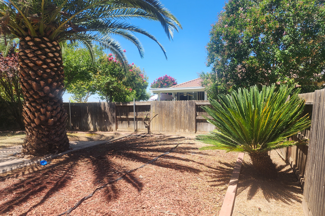 Backyard 2 - A beautiful 4 bedrooms and 2.5 bathrooms home in north Merced