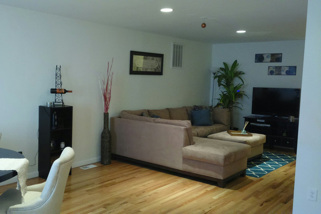 Living Room - Spacious renovated private 1 BR for rent