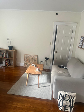 livingroom - Great studio apartment next to Harvard Yard