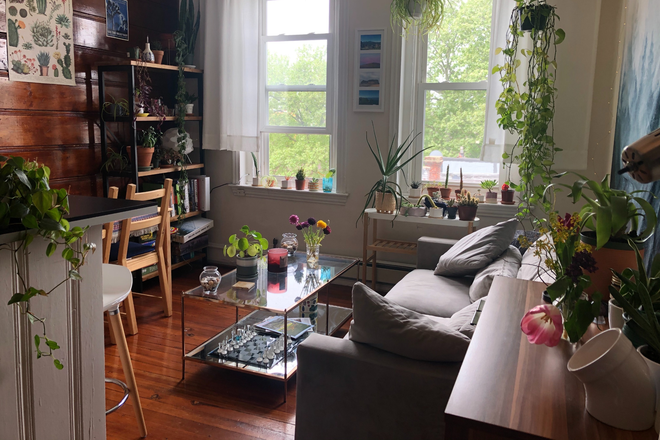 Living Area - Looking for a roommate for a 2 bed/1 bath in a West Philly Victorian Townhome