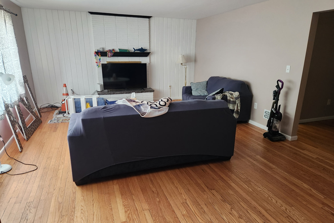 Living Room - 2 Spots Open to Share House on Spear Street