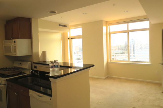 View of living room from entryway - 1 BR Penthouse in Downtown Silver Spring