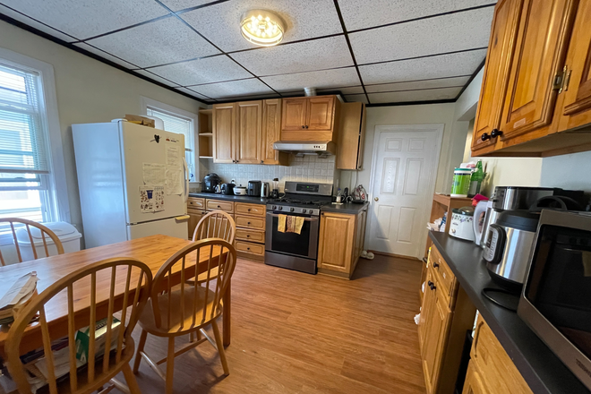 The apartment's kitchen - Sublet Room in Somerville (August) Apartments