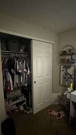 Closet is huge and has shelfing all across the top, shoe rack included - East Village Flats Apartments