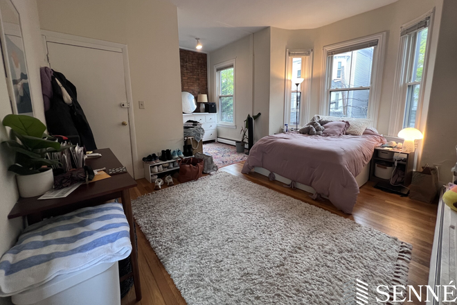 1 - Awesome Somerville Brownstone, Renovated Kitchen, Brick, T