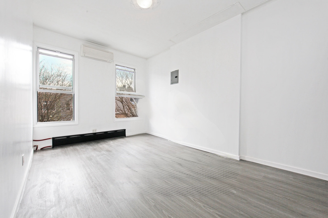 Bedroom/Living Room - Newly renovated one bedroom apartment in South Slope, Brooklyn! Perfect for NYU students