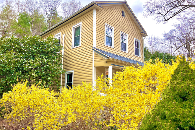 House - Large, Sunny, Quiet, Top Floor unit of Duplex near S.Amherst/Belchertown line