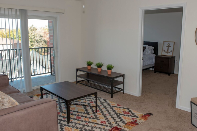 Living Room - Weida Apartments, close to campus, Target, Canes, Chipotle, etc.