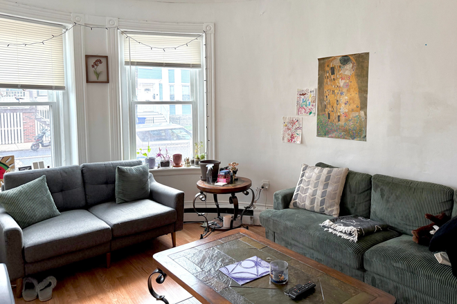 Living room - Beautiful Mission Hill Apartment! | No Broker's Fee!! | Summer Sublet & 2 Rooms Available for Fall