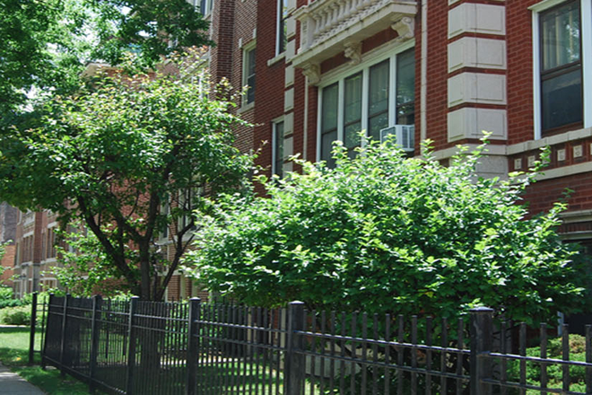 Live in Oak Park! - Live in Oak Park! Apartments