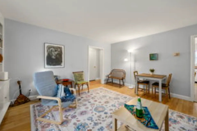 Livingroom - ALL-INCLUSIVE, Furnished 1BR, near Medical Area, Coolidge Corner . No Broker Fee. Condo