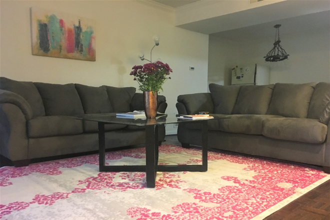 Living Room - Fully Furnished & Spacious 2BR/2BA near Emory