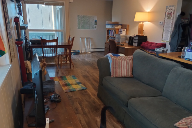 Living room - Seeking Roommate ASAP Condo