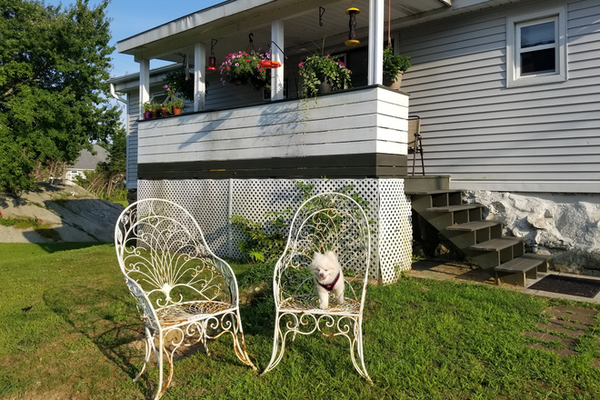 Screened in outside porch overlooks walking trails - SAFE Cottage for Rent    5.6 miles from campus Apartments