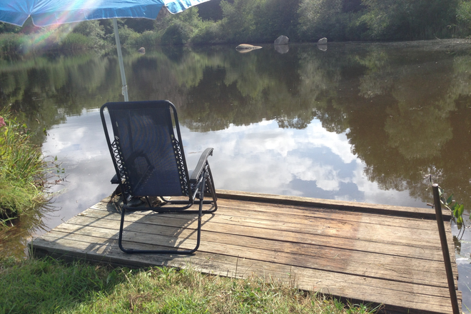 Pond dock - Housemate wanted to share amazing home 1.5 mi to UCONN.