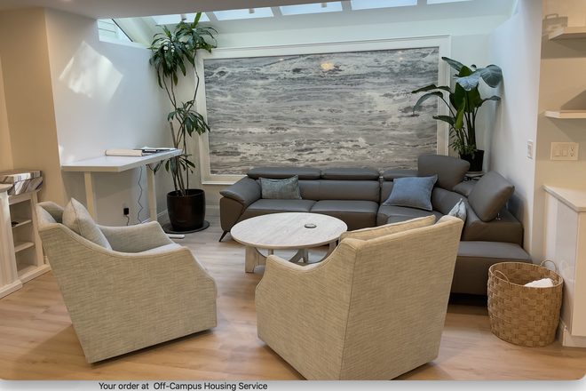 The spectacular slab of natural stone in the living room. - Brand New, Light-Filled, Furnished 2BR, 1.5BA with Parking, Charger, W/D, In Brookline Victorian Apartments