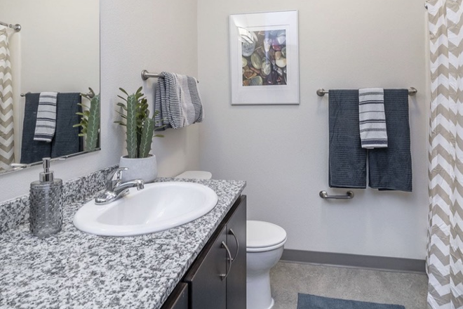 bathroom - Patterson Social 1 Bed 1 Bath, 2 Blocks from campus Apartments