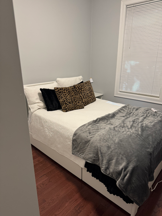 room - Apartment (20 min walk from NEU, 5 min walk from Roxbury Crossing)