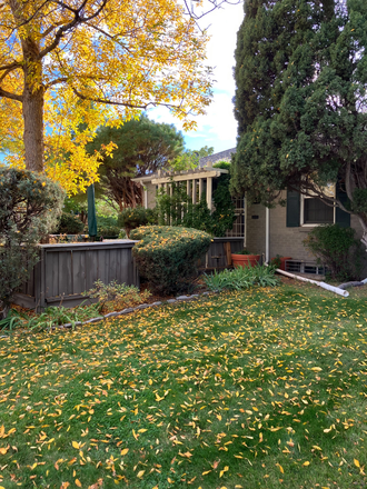 Porch with trellis roses - Mayfair Neighborhood/Private Residence Duplex