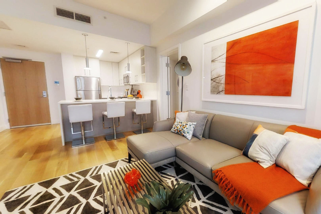 Living room - Private Bedroom and Bath Near Northeastern/Ruggles Apartments
