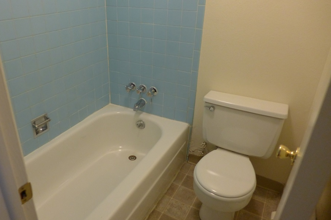 3 - AVAILABLE 8/14!: 1623 19th St Studio #10 Apartments