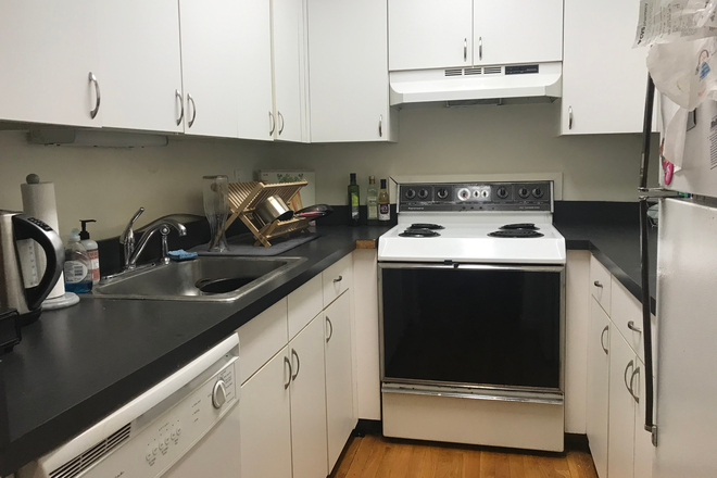 1 - Renovated 2 bedroom on Symphony Road with high ceilings, exposed brick, laundry Apartments