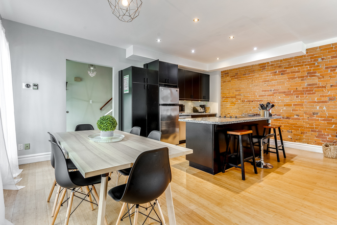 Open concept Kitchen Living room - Fully Furnished 3 Bedroom In Family Friendly Little Italy Walking Distance to UofT
