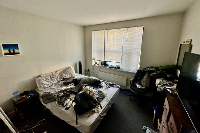 1 - No Fee Off Campus 3 bed 1 bath for 9/1 walk to campus great location no fee no pets Apartments